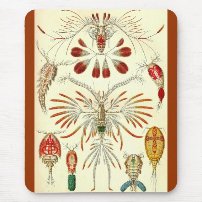 Alfombrilla De Ratón Ernst Haeckel - Copepoda (Frente)