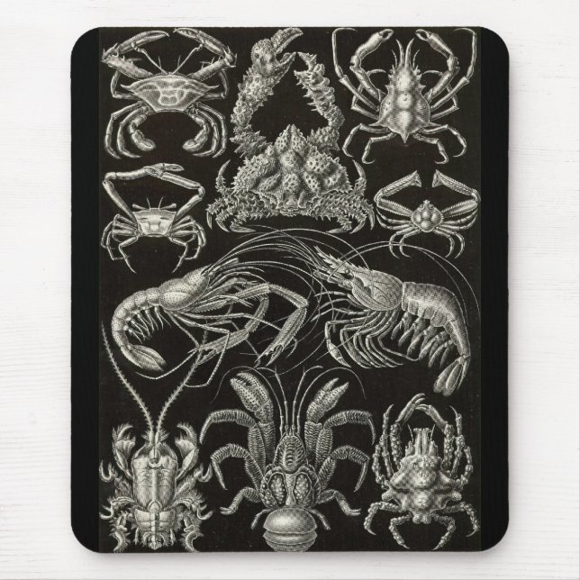 Alfombrilla De Ratón Ernst Haeckel - decápodos (Frente)