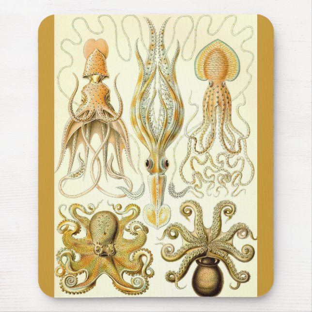 Alfombrilla De Ratón Ernst Haeckel - Gamochonia (Frente)