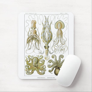Alfombrilla De Ratón Ernst Haeckel Gamochonia Octopus & Squid