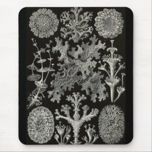 Alfombrilla De Ratón Ernst Haeckel - Lichenes