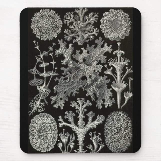 Alfombrilla De Ratón Ernst Haeckel - Lichenes (Frente)