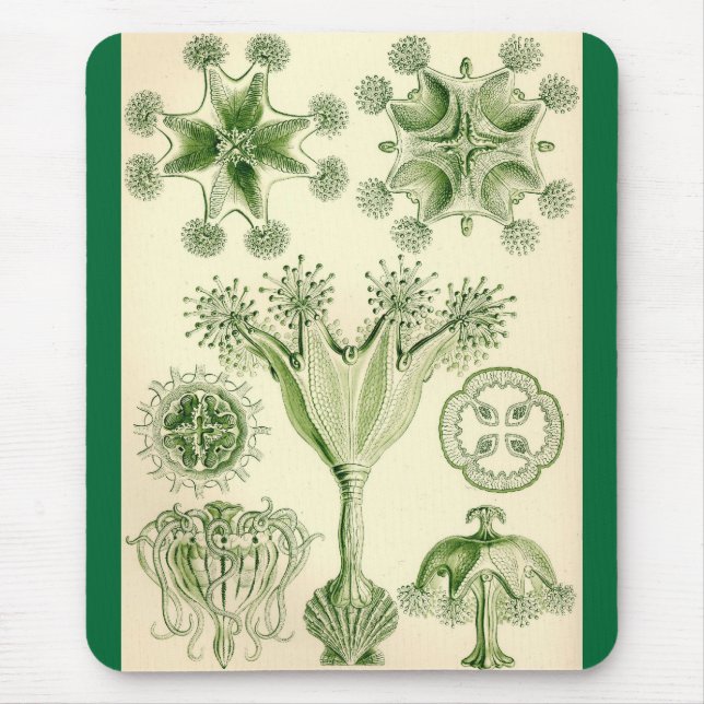 Alfombrilla De Ratón Ernst Haeckel - medusas de Stauromedusae (Frente)