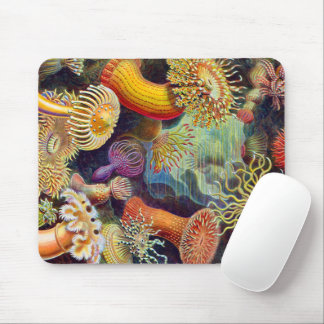 Alfombrilla De Ratón Ernst Haeckel Sea Anemones Marine:Actiniae