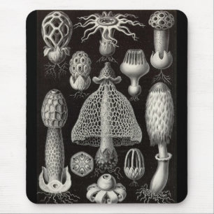Alfombrilla De Ratón Ernst Haeckel - setas de Basimycetes