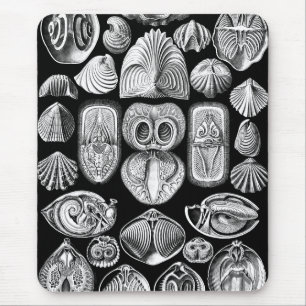 Alfombrilla De Ratón Ernst Haeckel Spirobranchia