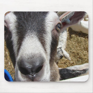 Alfombrilla De Ratón ¿Esa Cámara Es Comida?