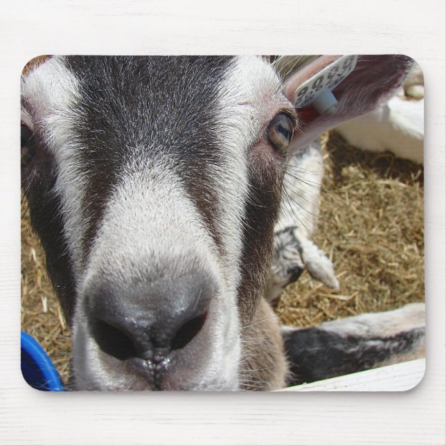 Alfombrilla De Ratón ¿Esa Cámara Es Comida? (Frente)