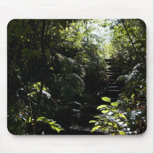 Alfombrilla De Ratón Escalera/sendero rústicos en el bosque, luz del