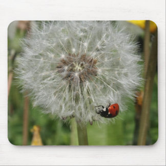 Alfombrilla De Ratón escarabajo de señora - mariquita en el diente de