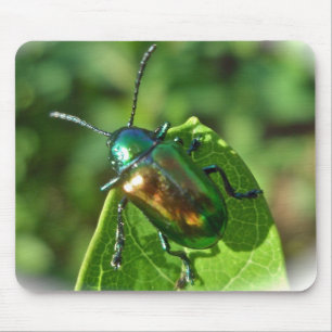 Alfombrilla De Ratón Escarabajo Mousepad del Apocynum androsaemifolium