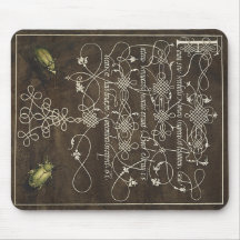 Escarabajo y Scarab de Mira Calligraphiae