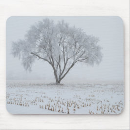 Alfombrilla De Ratón Escarcha sobre un árbol solitario