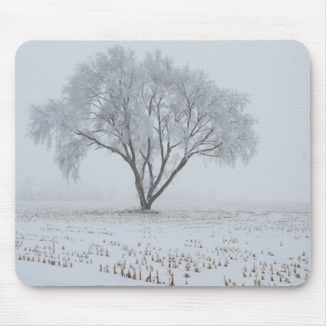 Alfombrilla De Ratón Escarcha sobre un árbol solitario (Frente)