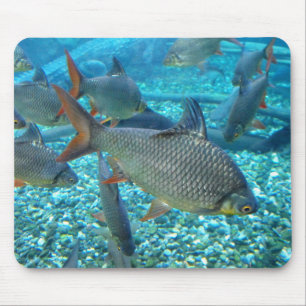Alfombrilla De Ratón Escasez de peces
