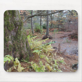 Alfombrilla De Ratón Escena de otoño en un jardín botánico.