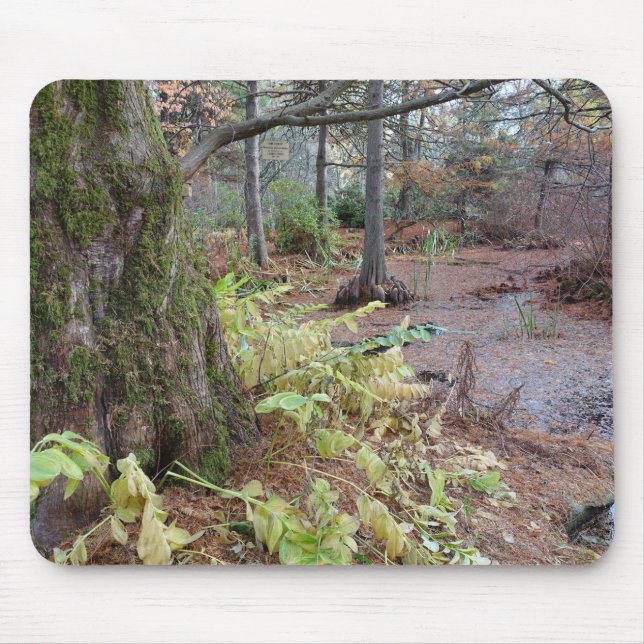 Alfombrilla De Ratón Escena de otoño en un jardín botánico. (Frente)
