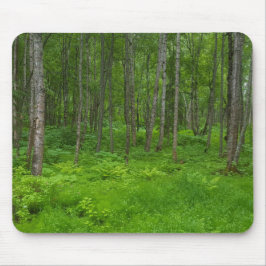 Alfombrilla De Ratón Escena de paisaje forestal verde exuberante