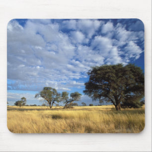Alfombrilla De Ratón Escena del desierto de Kalahari, frontera de Kgala