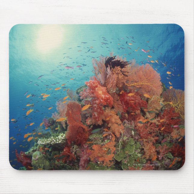 Alfombrilla De Ratón Escenario de arrecifes de corales duros , corales  (Frente)