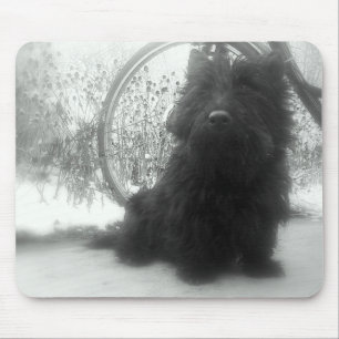 Alfombrilla De Ratón Escocés Terrier del invierno