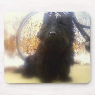 Alfombrilla De Ratón Escocés Terrier del invierno