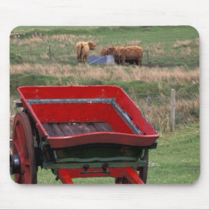 Alfombrilla De Ratón Escocia, Isla de Skye, Kilmuir. Animales de granja