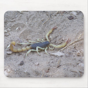 Alfombrilla De Ratón Escorpión