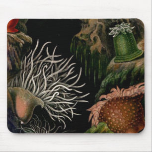Alfombrilla De Ratón Escritorio/oficina náuticos de SeaLife Mousepad d
