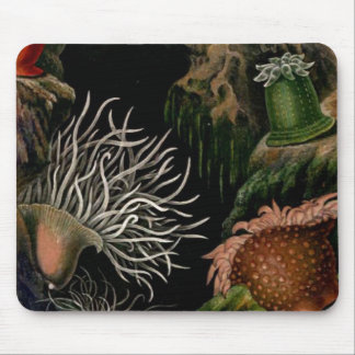Alfombrilla De Ratón Escritorio/oficina náuticos de SeaLife Mousepad de