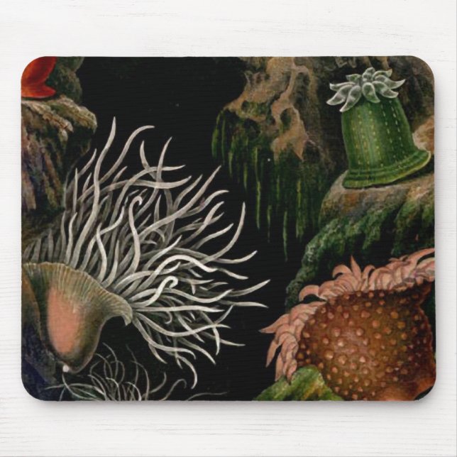Alfombrilla De Ratón Escritorio/oficina náuticos de SeaLife Mousepad de (Frente)