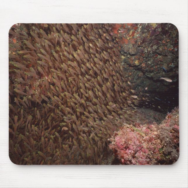 Alfombrilla De Ratón Escuela de Pescado 2 (Frente)