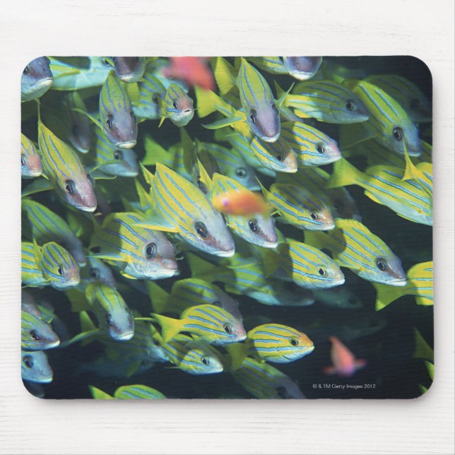 Alfombrilla De Ratón Escuela de Pescado 7 (Frente)