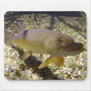 Alfombrilla De Ratón Esox lucius