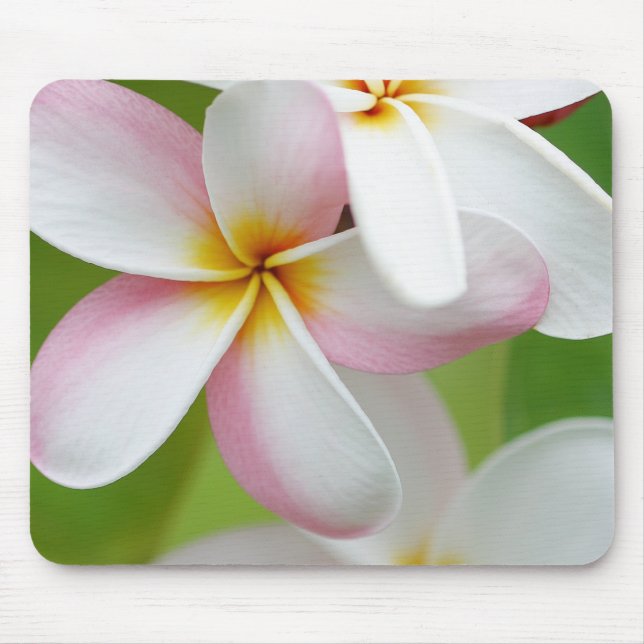 Alfombrilla De Ratón Espacio en blanco modificado para requisitos (Frente)