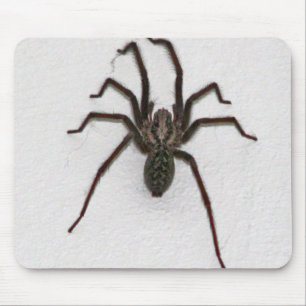 Alfombrilla De Ratón Espinosa araña