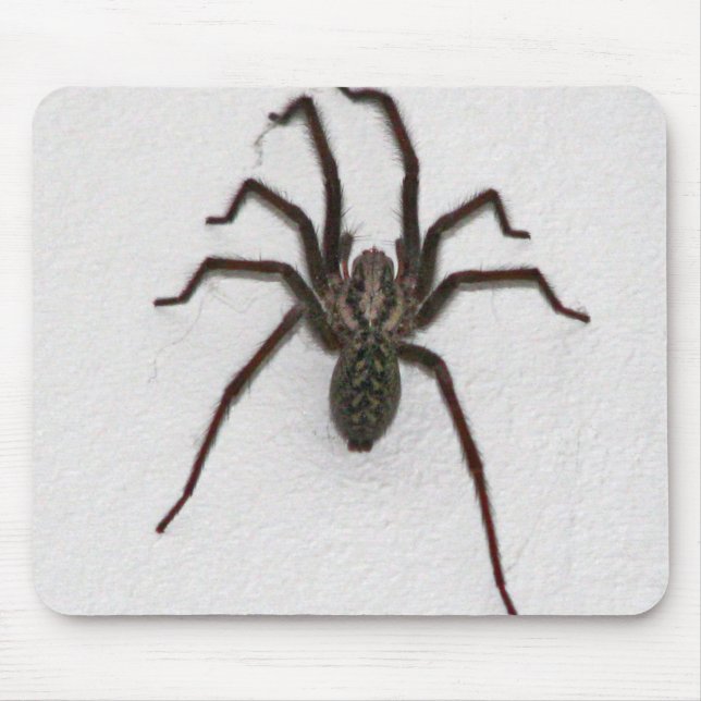 Alfombrilla De Ratón Espinosa araña (Frente)