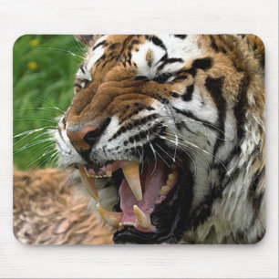 Alfombrilla De Ratón Espíritu libre de tigres