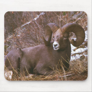 Alfombrilla De Ratón Espolón del Bighorn