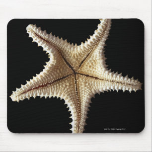 Alfombrilla De Ratón Esqueleto de las estrellas de mar, primer 2
