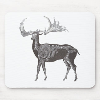 Alfombrilla De Ratón Esqueleto de los alces irlandeses - hibernicus de