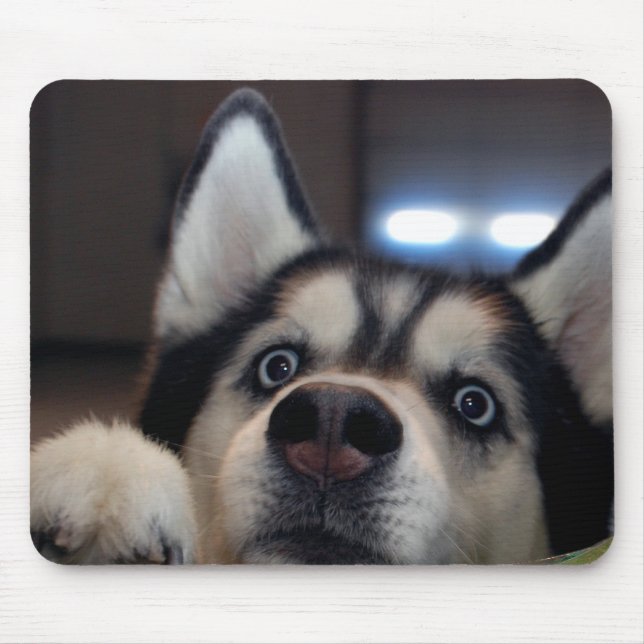 Alfombrilla De Ratón ¿Está cualquiera hacia fuera allí? (Frente)