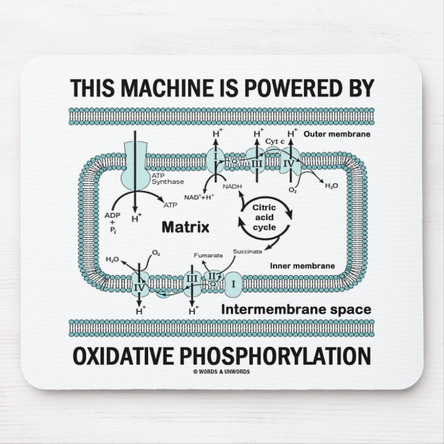 Alfombrilla De Ratón Esta Máquina Alimentada Por Fosforilación Oxidativ (Frente)