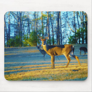 Alfombrilla De Ratón Estadio/Deer Buck, cielo azul brillante