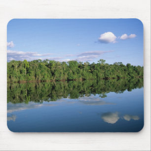 Alfombrilla De Ratón Estado de Mato Grosso, Amazonia, Brasil. Boscoso