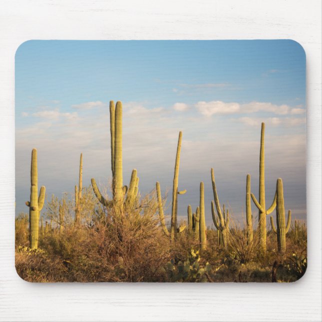 Alfombrilla De Ratón Estados Unidos, Arizona, Parque Nacional Saguaro,  (Frente)