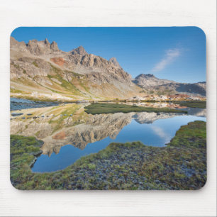 Alfombrilla De Ratón Estados Unidos, California, Bosque Nacional Inyo 1