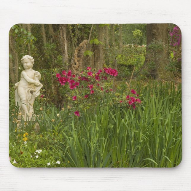 Alfombrilla De Ratón Estados Unidos; Carolina del Sur; Charleston;4 (Frente)