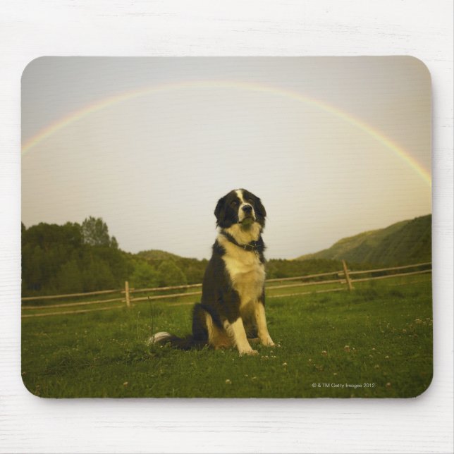 Alfombrilla De Ratón Estados Unidos, Colorado, Nuevo Castillo (Frente)