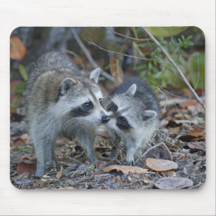 Alfombrilla De Ratón Estados Unidos, Florida, Sanibel, Ding Darling Nat